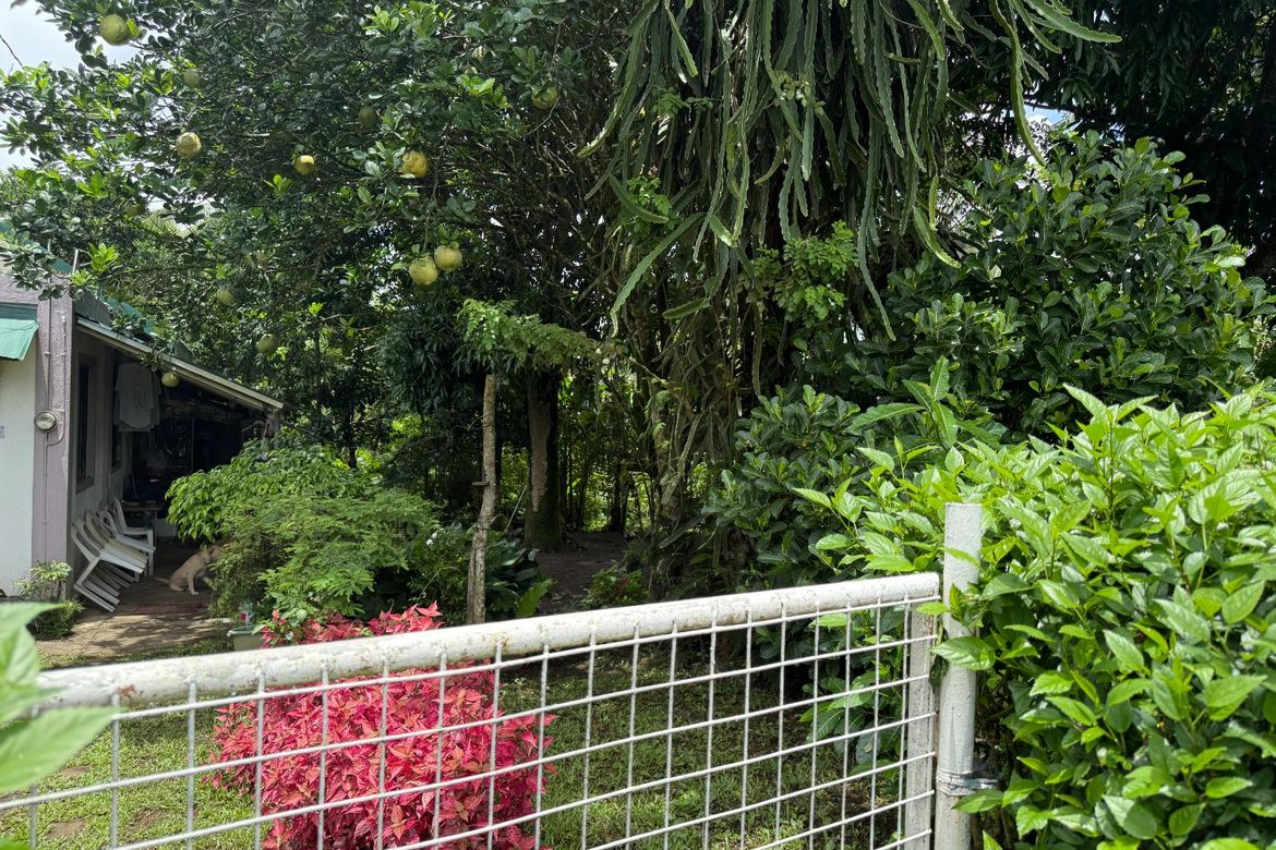 Land for Sale in Maitim I, Amadeo, Cavite – photo 2
