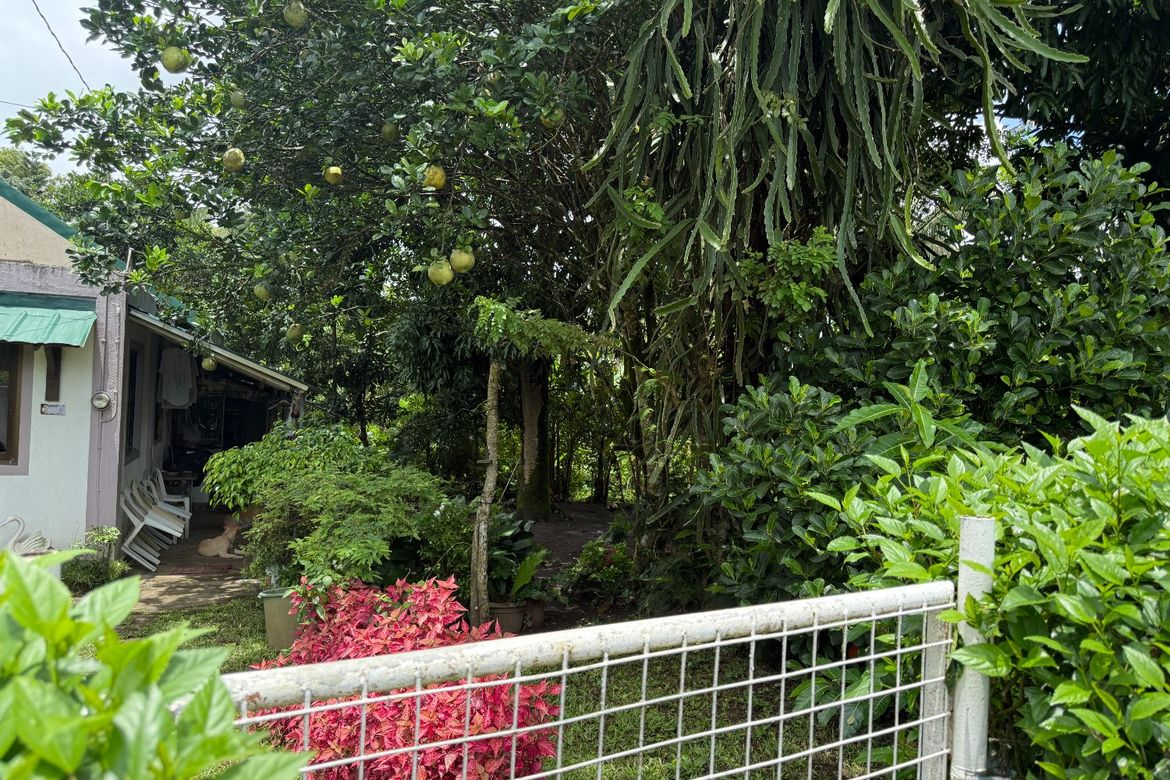 Land for Sale in Maitim I, Amadeo, Cavite – photo 3