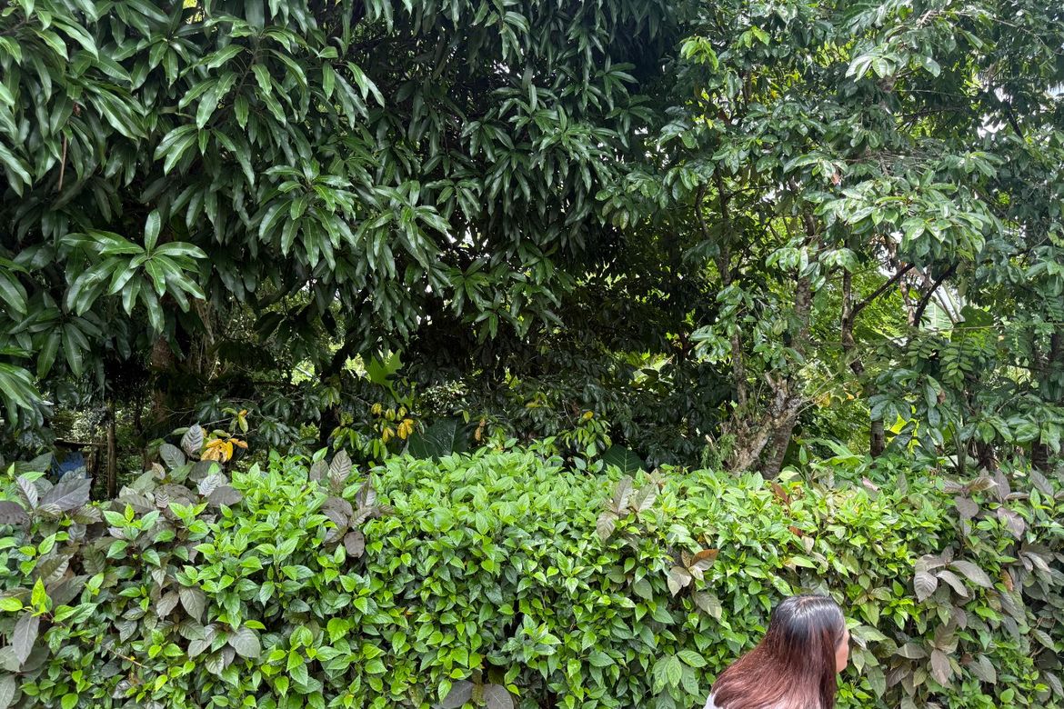 Land for Sale in Maitim I, Amadeo, Cavite – photo 4