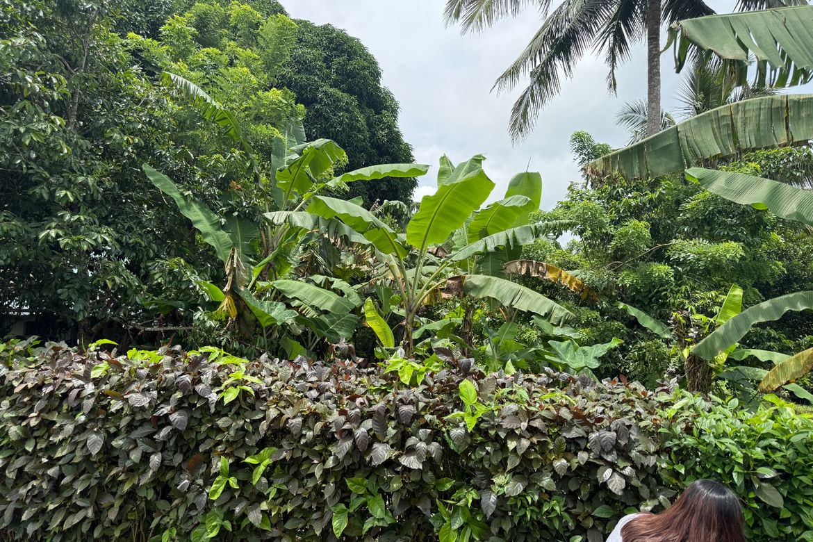 Land for Sale in Maitim I, Amadeo, Cavite – photo 6