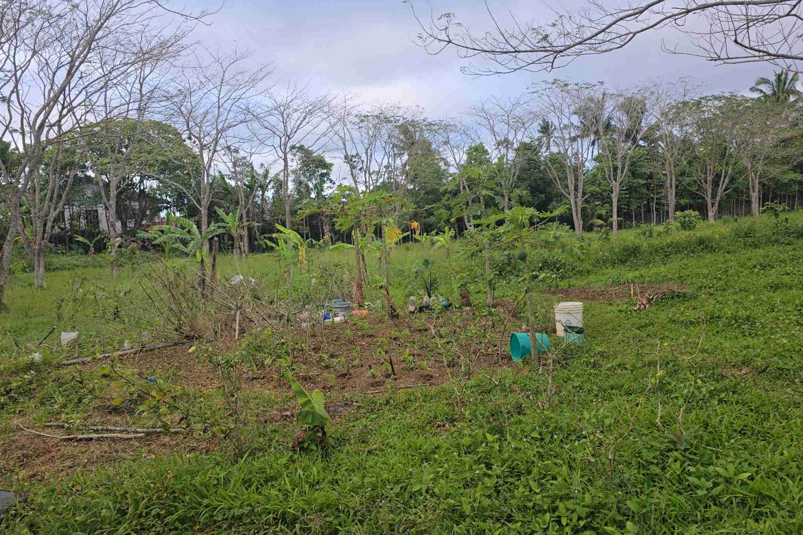 Land for Sale in Maitim I, Amadeo, Cavite – photo 3
