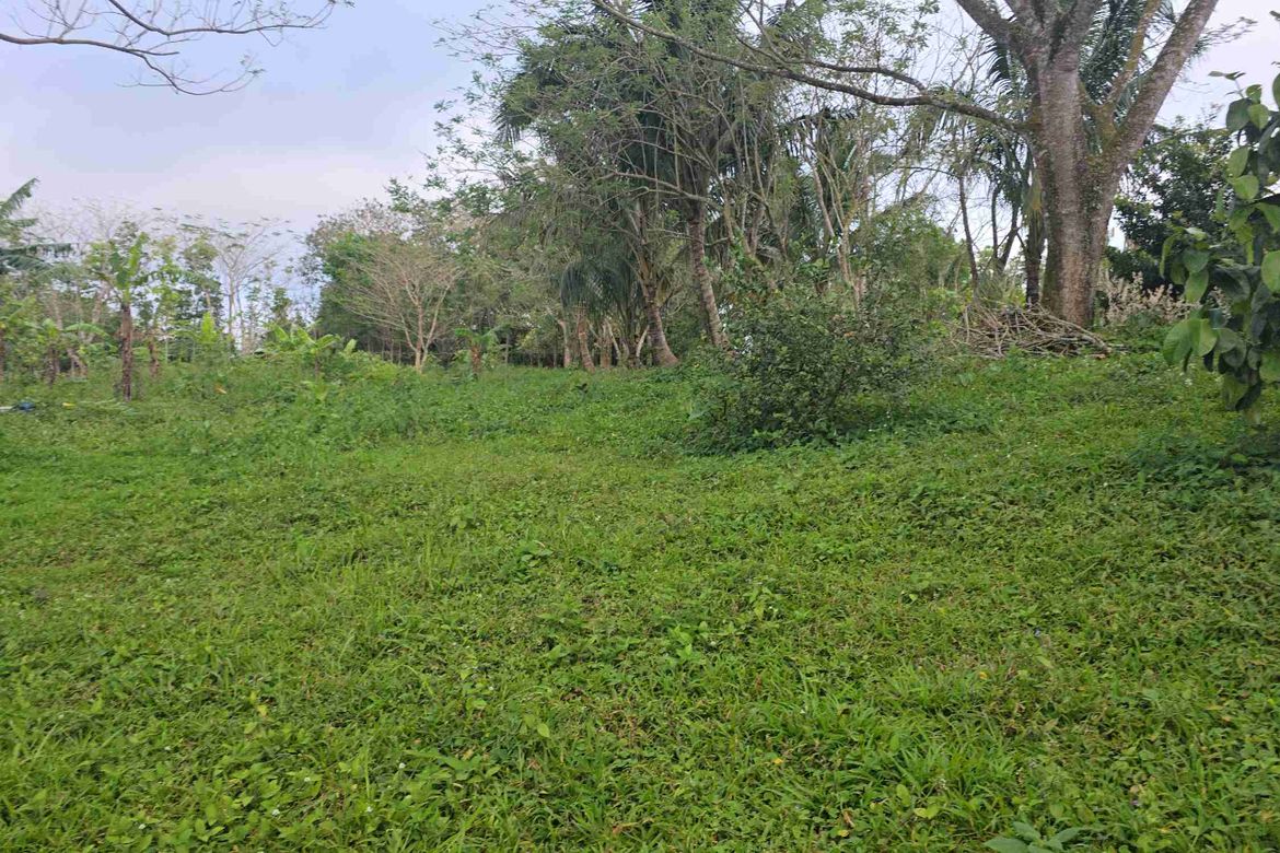 Land for Sale in Maitim I, Amadeo, Cavite – photo 4