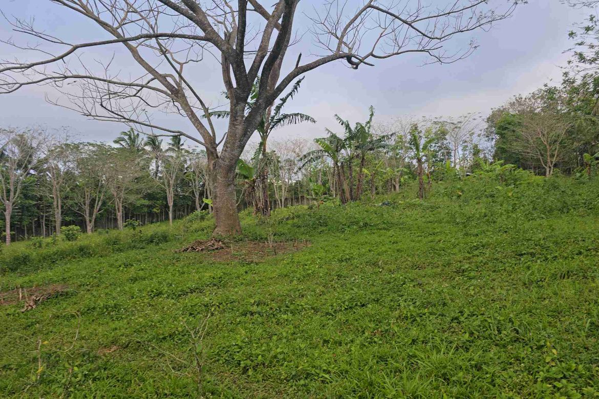 Land for Sale in Maitim I, Amadeo, Cavite – photo 5
