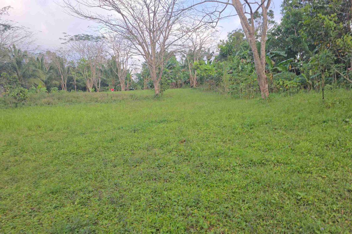 Land for Sale in Maitim I, Amadeo, Cavite – photo 8