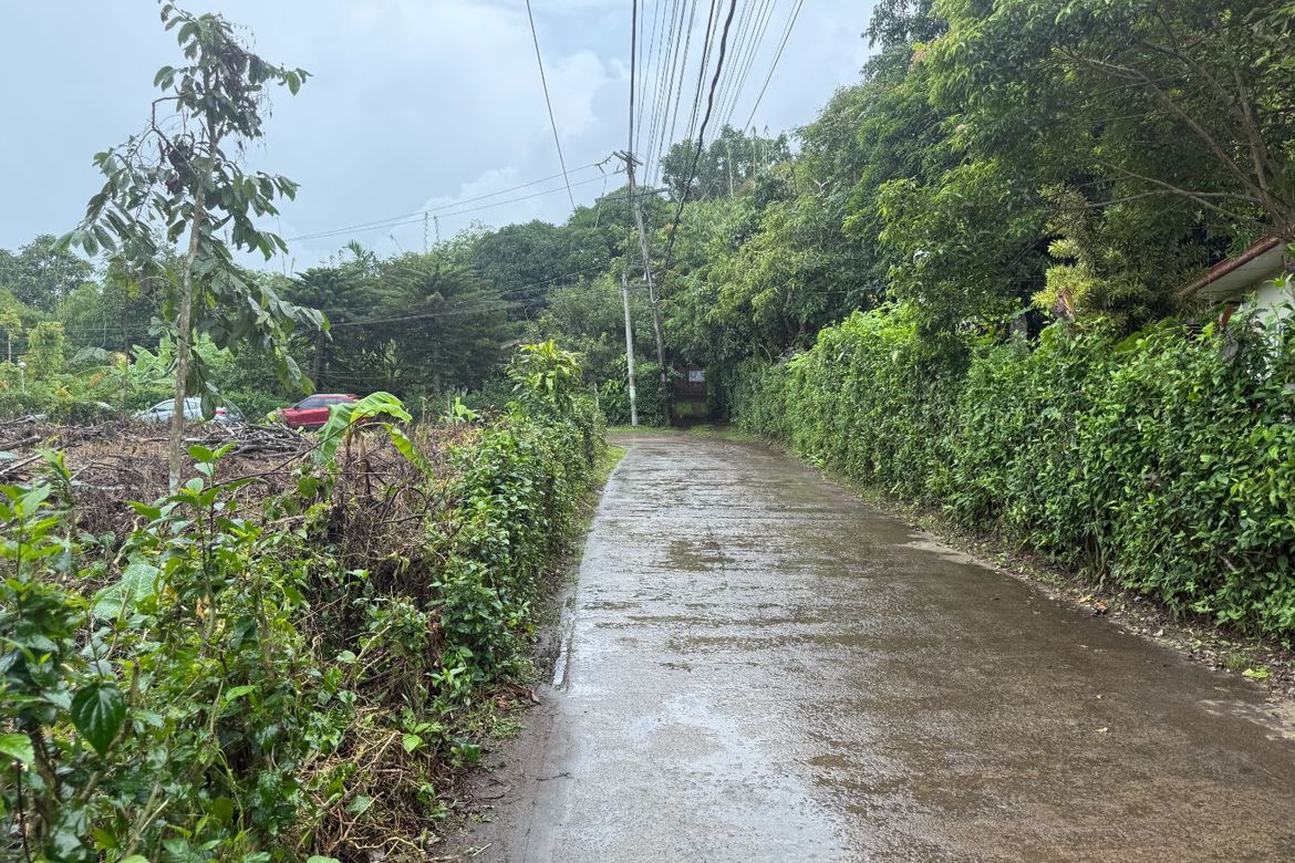 Land for Sale in Maitim I, Amadeo, Cavite