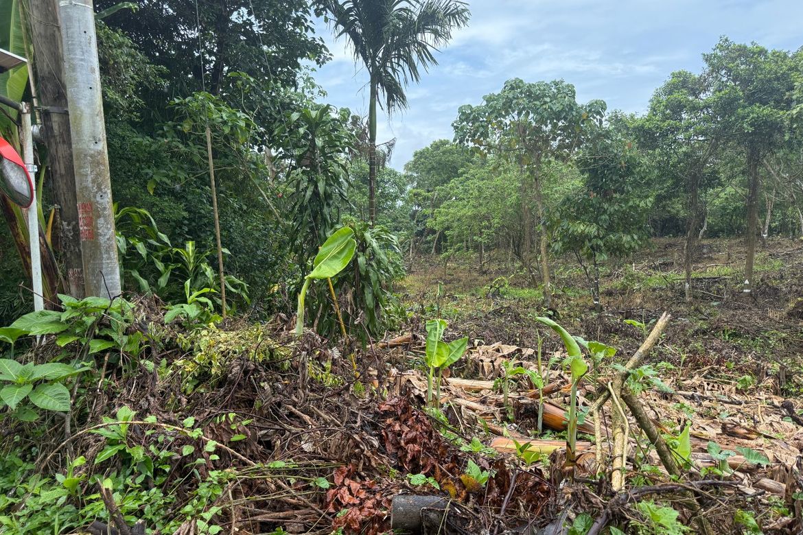 Land for Sale in Maitim I, Amadeo, Cavite – photo 3