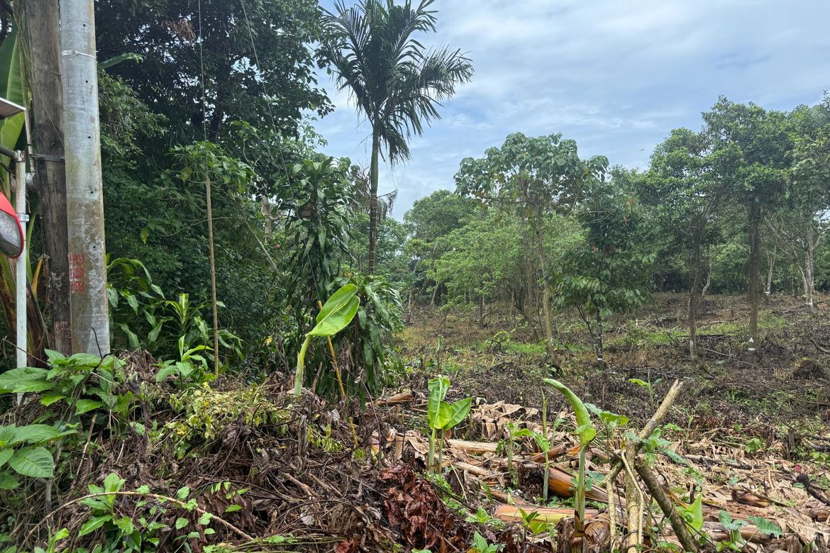 Land for Sale in Maitim I, Amadeo, Cavite – photo 5