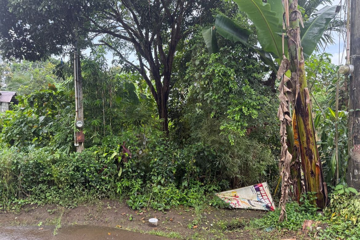 Land for Sale in Maitim I, Amadeo, Cavite – photo 6