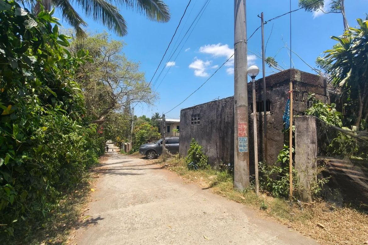 Land for Sale in Maitim I, Amadeo, Cavite – photo 2