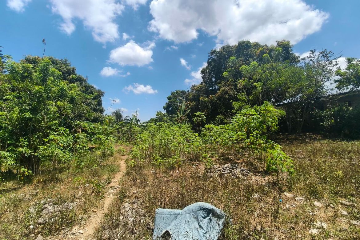 Land for Sale in Maitim I, Amadeo, Cavite – photo 4