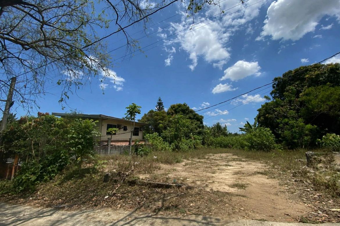 Land for Sale in Maitim I, Amadeo, Cavite – photo 5