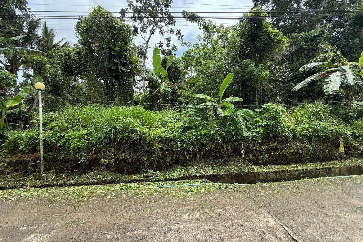 Land for Sale in Maitim I, Amadeo, Cavite