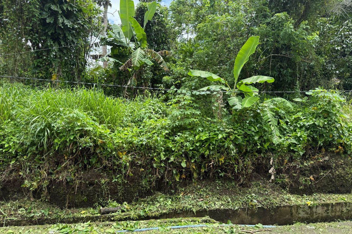 Land for Sale in Maitim I, Amadeo, Cavite – photo 2