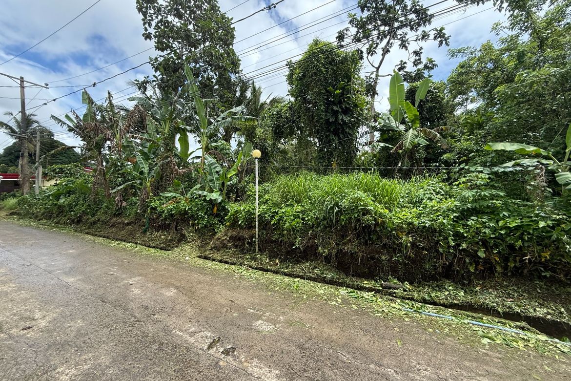Land for Sale in Maitim I, Amadeo, Cavite – photo 3