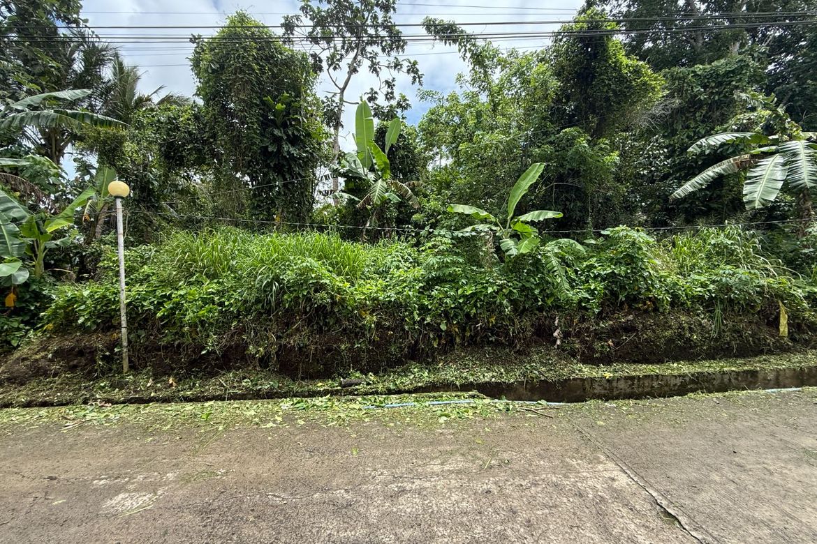 Land for Sale in Maitim I, Amadeo, Cavite – photo 4