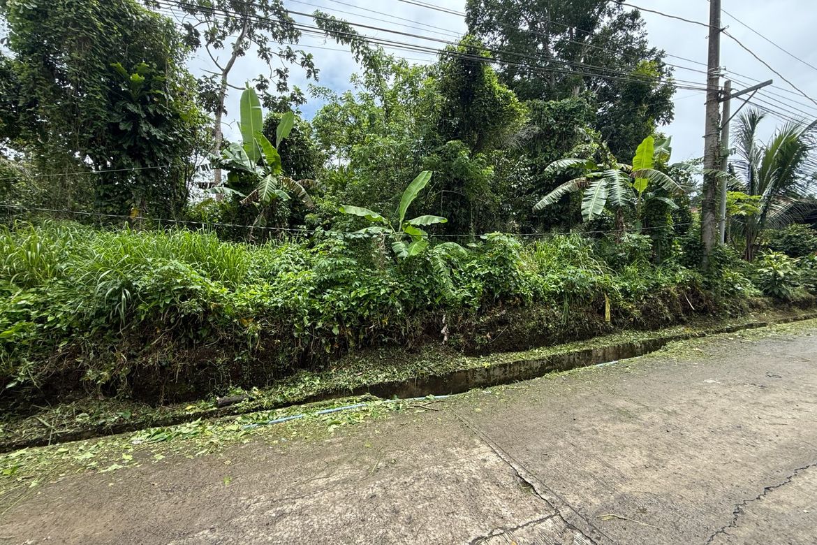 Land for Sale in Maitim I, Amadeo, Cavite – photo 5