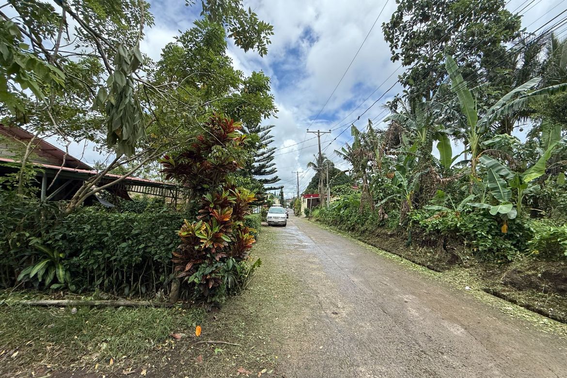Land for Sale in Maitim I, Amadeo, Cavite – photo 6