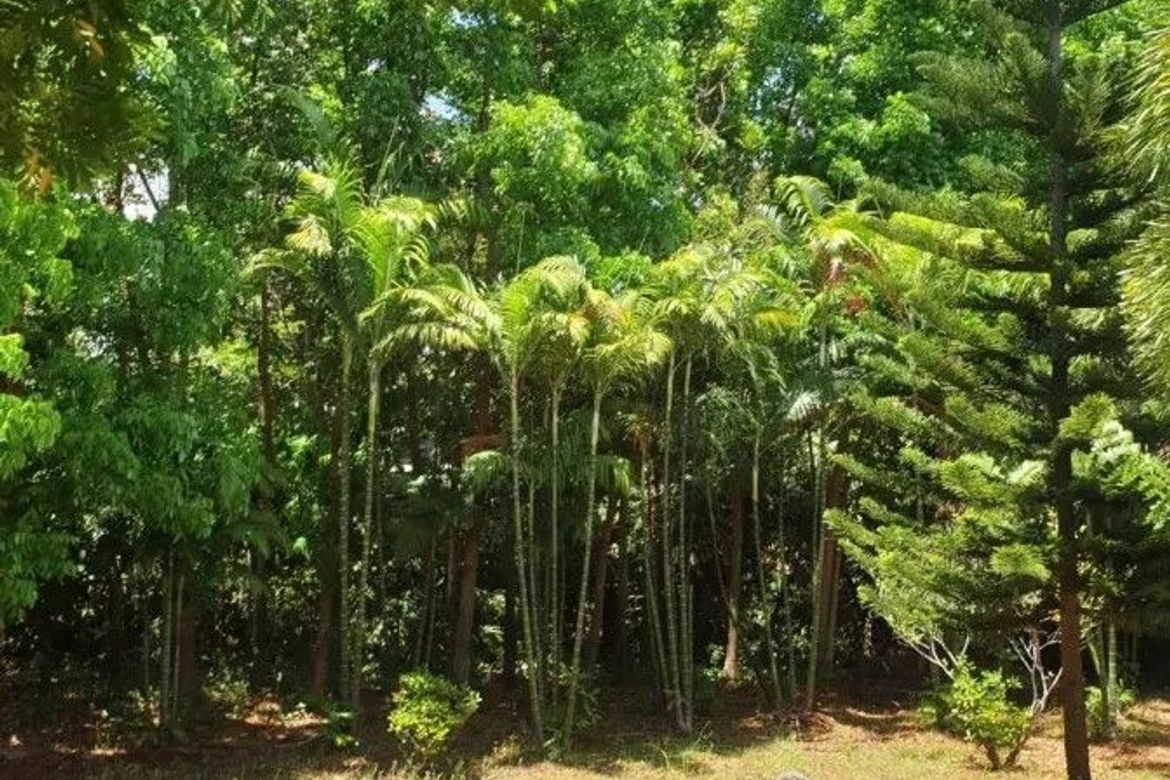 Land for Sale in Majada Labas, Calamba, Laguna
