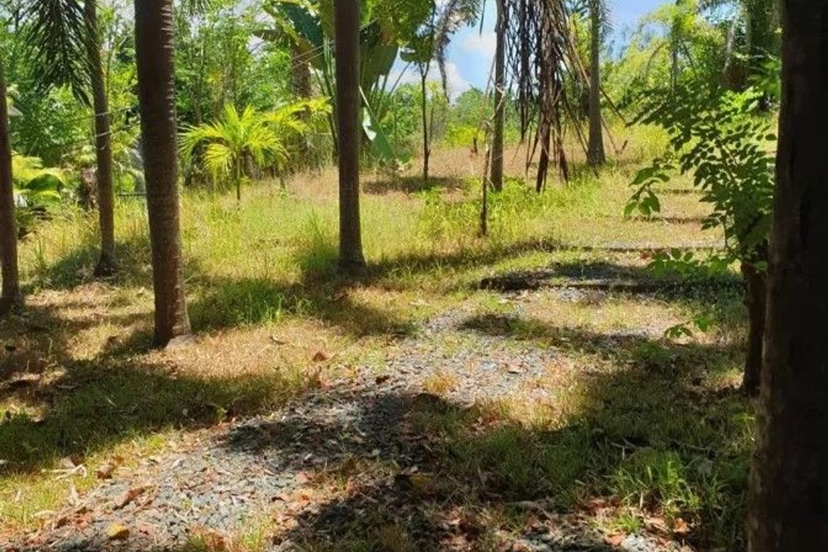 Land for Sale in Majada Labas, Calamba, Laguna – photo 3