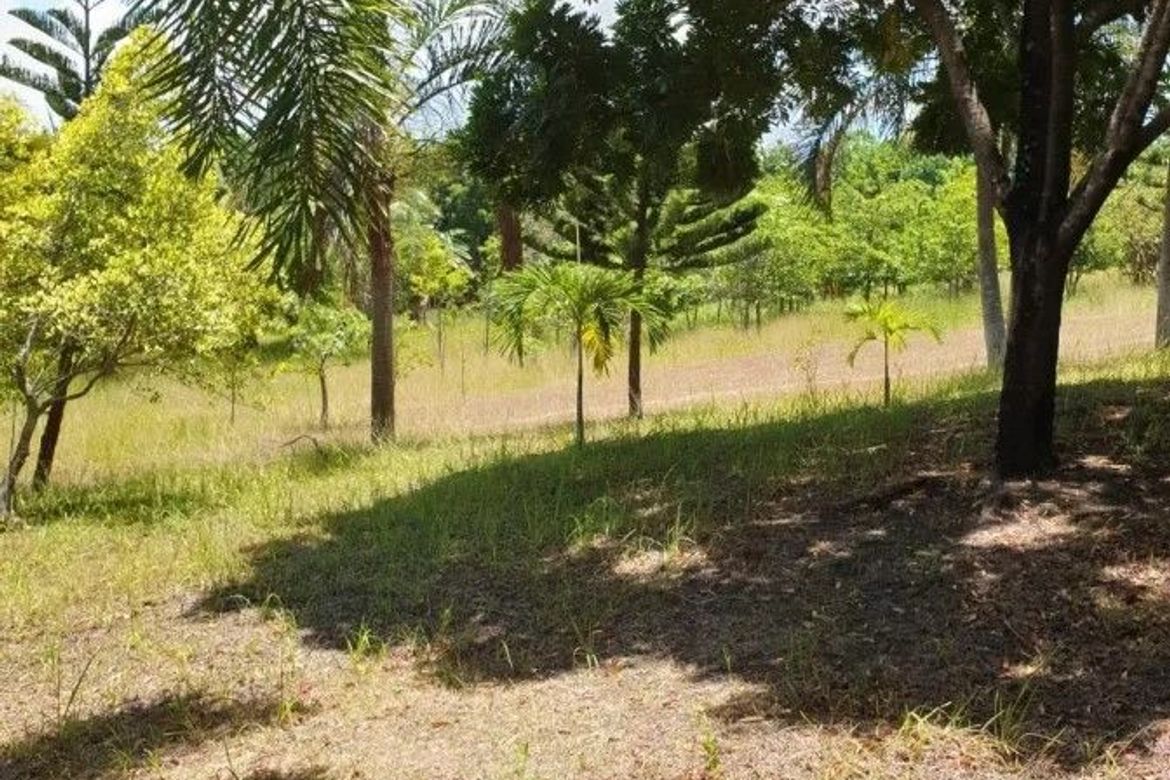 Land for Sale in Majada Labas, Calamba, Laguna – photo 4