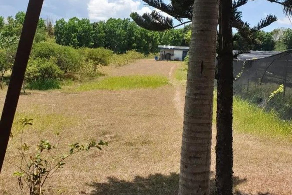 Land for Sale in Majada Labas, Calamba, Laguna – photo 5