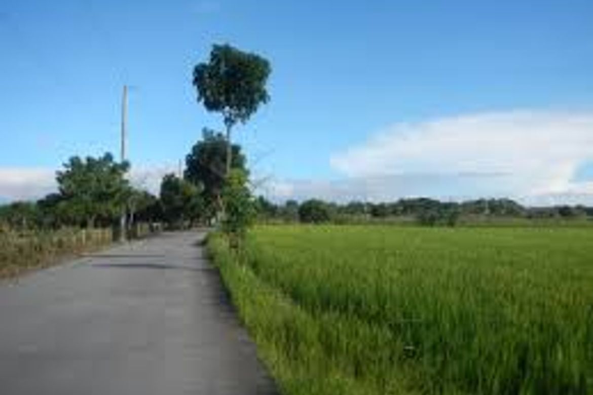 Land for Sale in Makapilapil, San Ildefonso, Bulacan