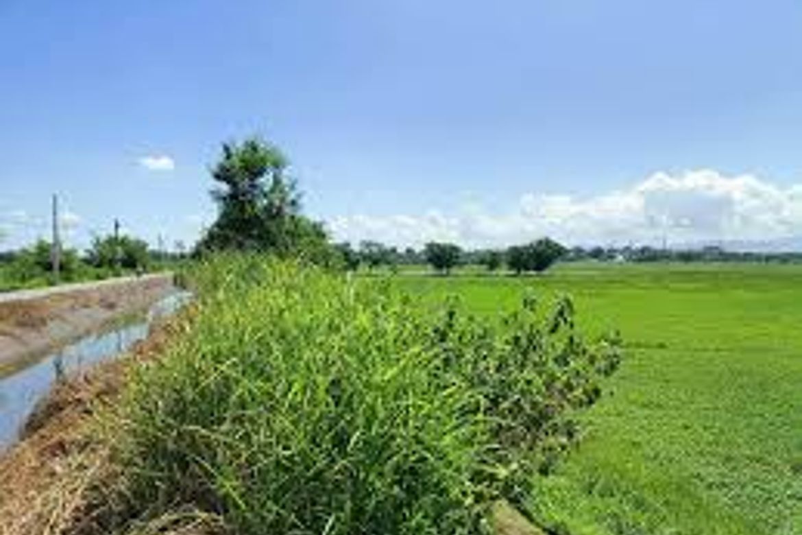 Land for Sale in Makapilapil, San Ildefonso, Bulacan – photo 5