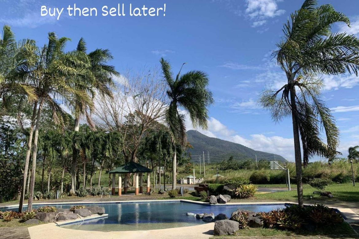 Land for Sale in Makiling, Calamba, Laguna – photo 8