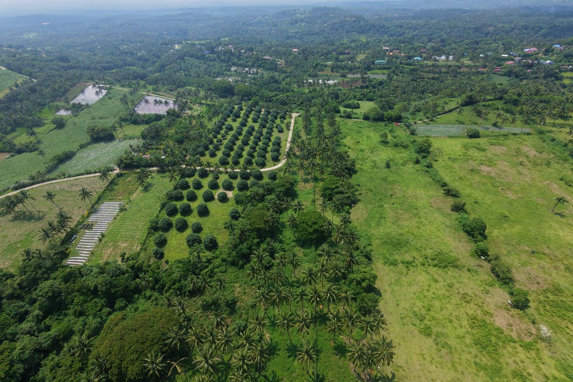 Land for Sale in Makina, Calaca, Batangas – photo 3
