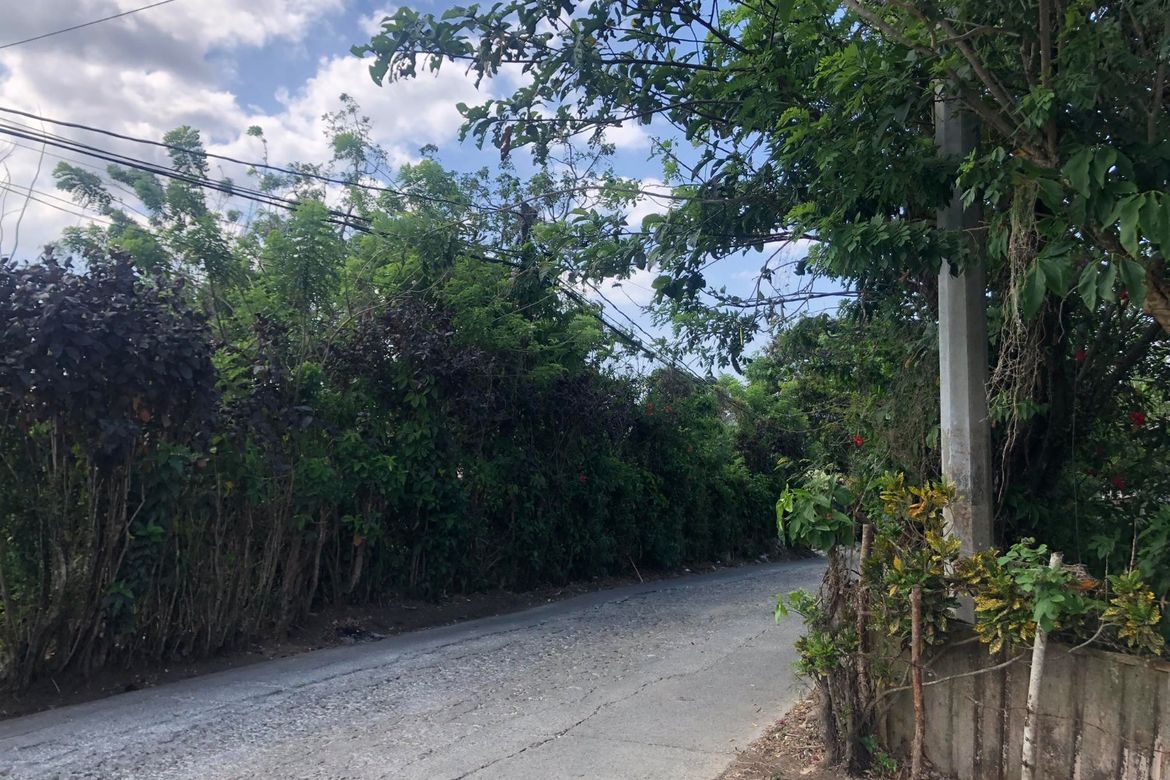 Land for Sale in Malabag, Silang, Cavite – photo 2