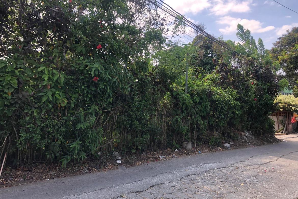 Land for Sale in Malabag, Silang, Cavite – photo 3
