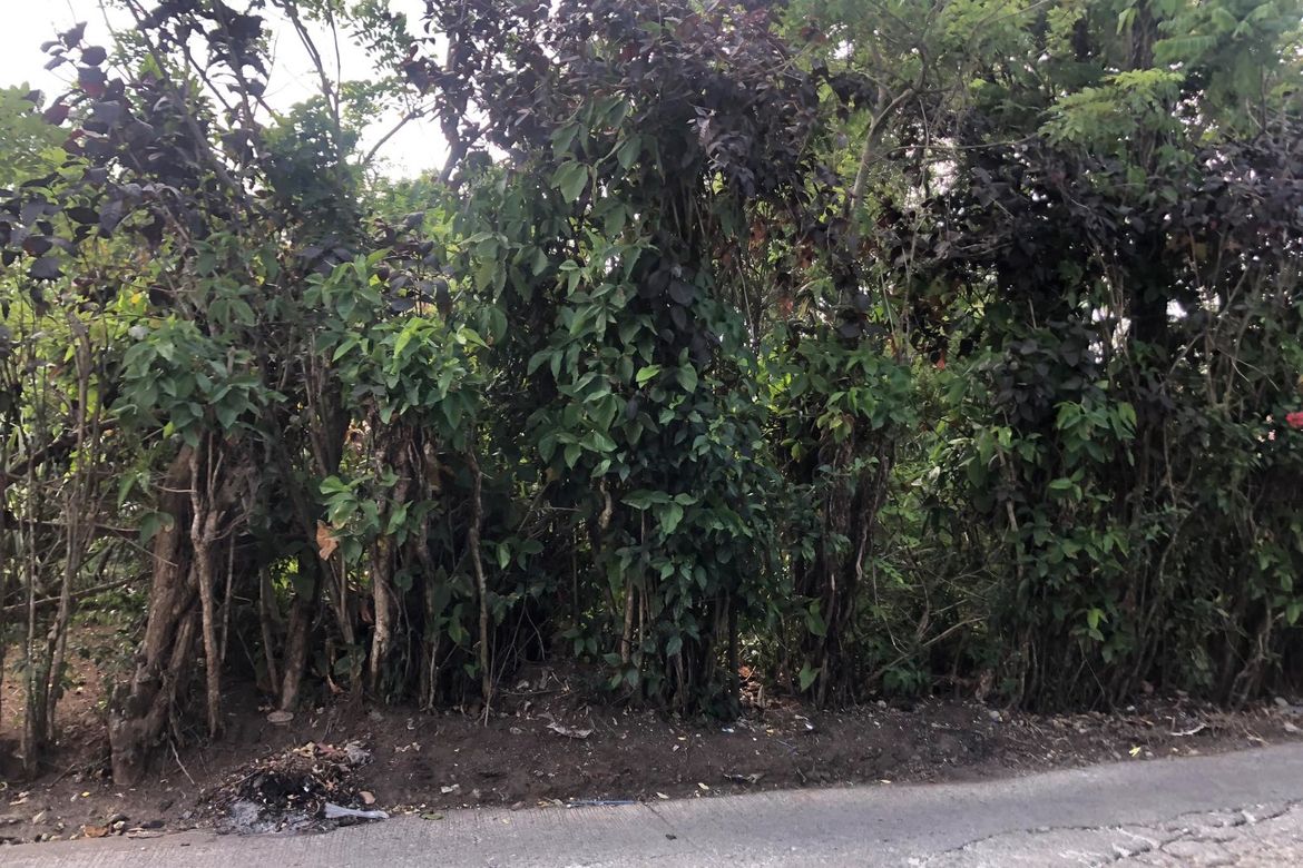 Land for Sale in Malabag, Silang, Cavite – photo 4
