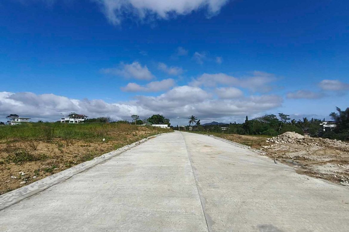 Land for Sale in Malabag, Silang, Cavite – photo 3