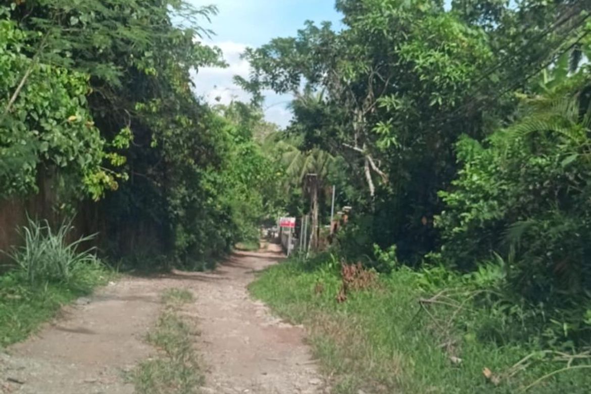 Land for Sale in Malabag, Silang, Cavite – photo 2