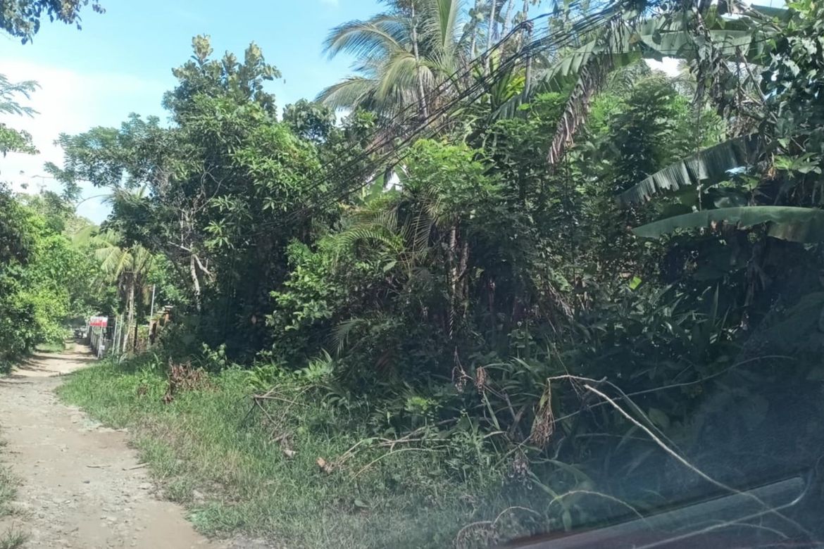 Land for Sale in Malabag, Silang, Cavite – photo 3