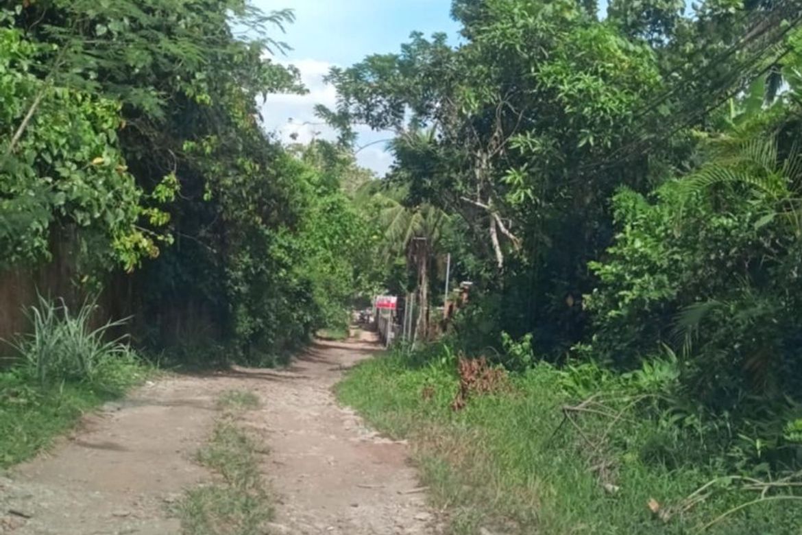Land for Sale in Malabag, Silang, Cavite – photo 5