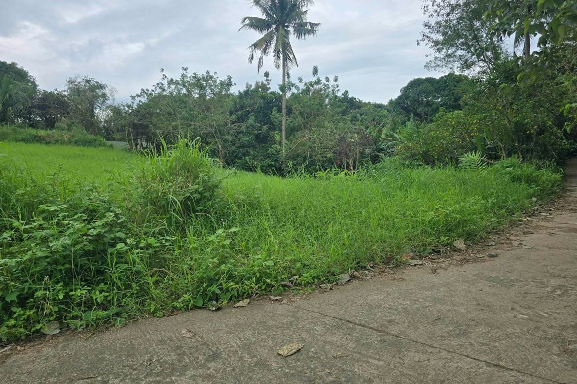 Land for Sale in Malabag, Silang, Cavite – photo 2