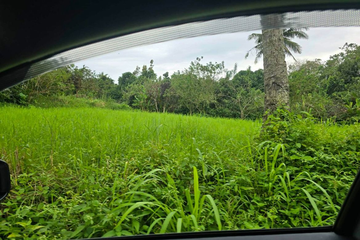Land for Sale in Malabag, Silang, Cavite – photo 3