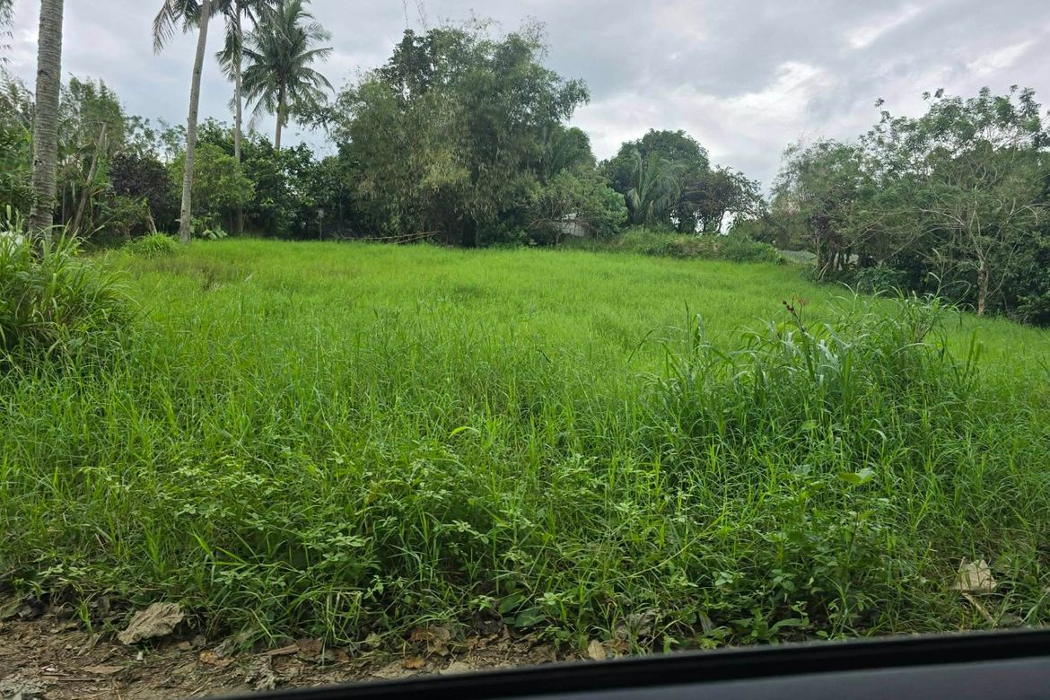 Land for Sale in Malabag, Silang, Cavite – photo 4