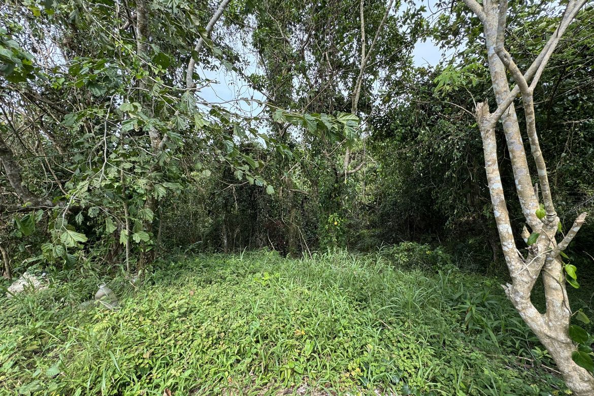 Land for Sale in Malabag, Silang, Cavite