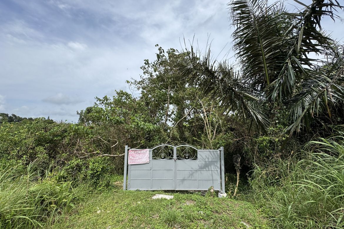 Land for Sale in Malabag, Silang, Cavite – photo 4