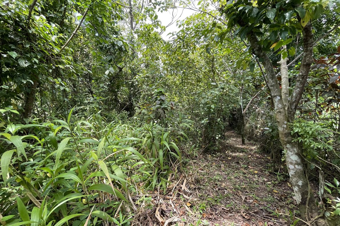 Land for Sale in Malabag, Silang, Cavite – photo 5