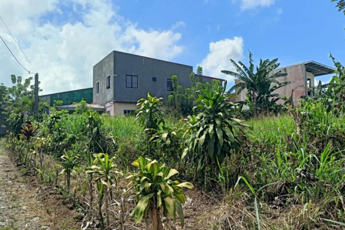 Land for Sale in Malabag, Silang, Cavite – photo 2