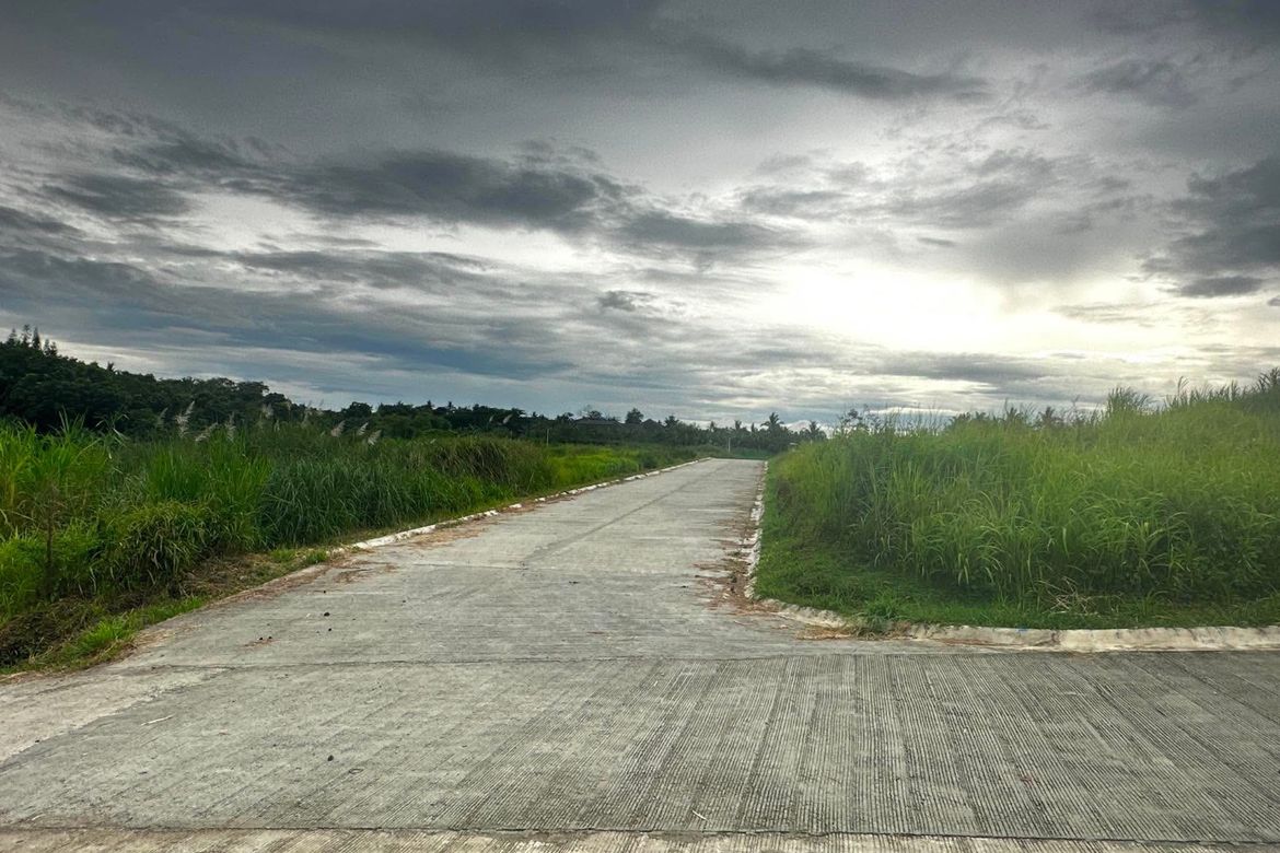 Land for Sale in Malabag, Silang, Cavite – photo 3