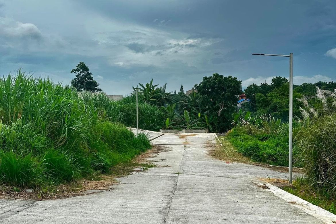 Land for Sale in Malabag, Silang, Cavite – photo 7
