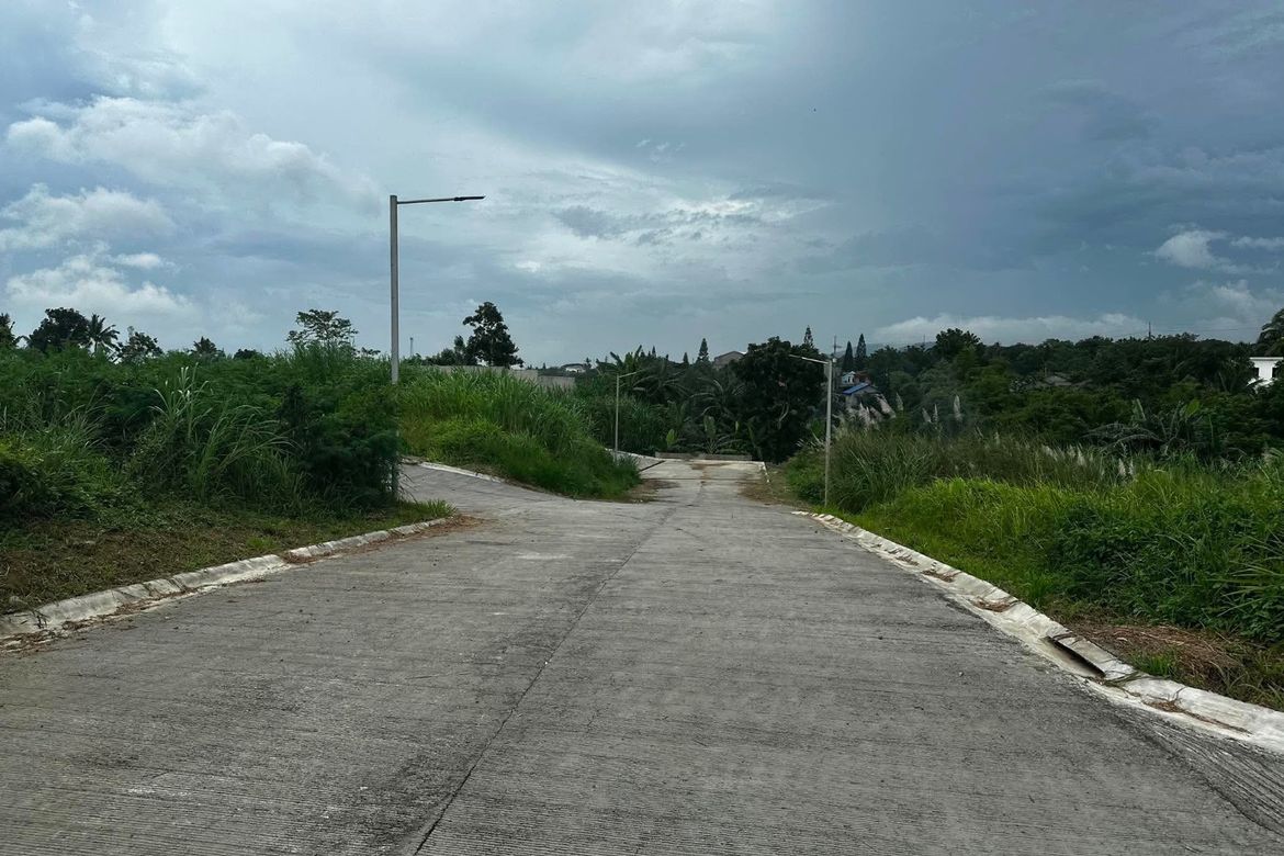 Land for Sale in Malabag, Silang, Cavite – photo 8