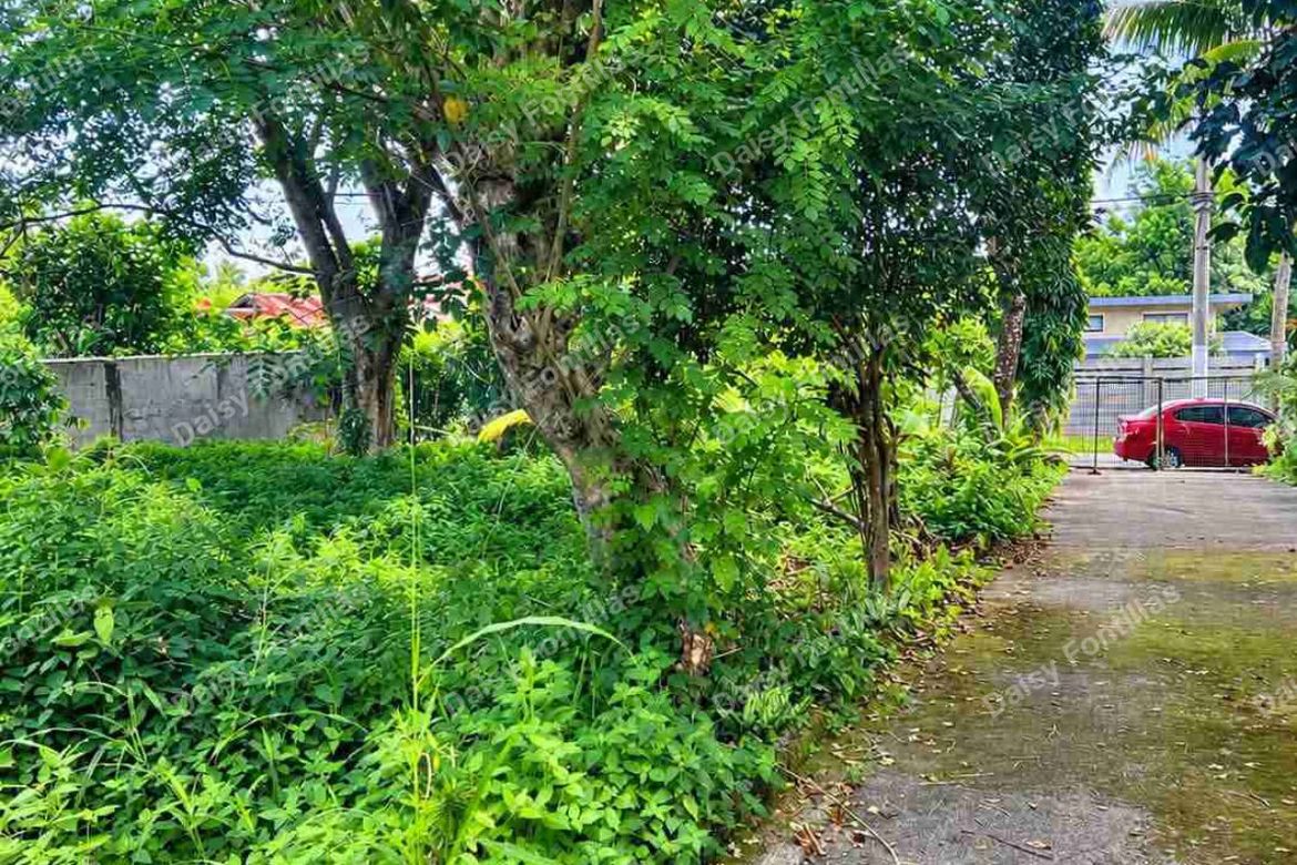 Land for Sale in Malabag, Silang, Cavite – photo 2