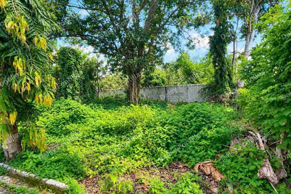 Land for Sale in Malabag, Silang, Cavite – photo 3