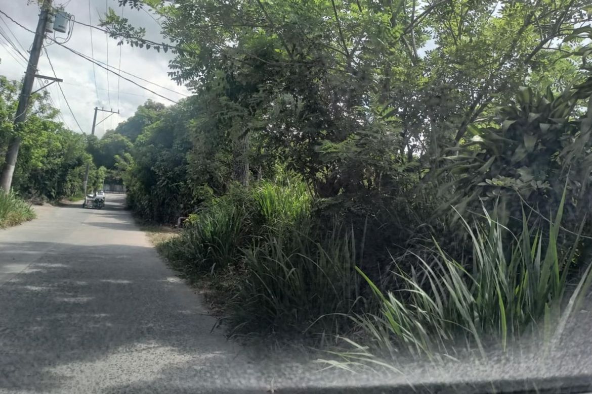 Land for Sale in Malabag, Silang, Cavite – photo 4