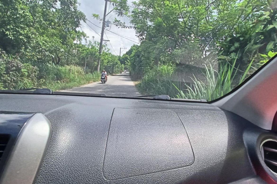 Land for Sale in Malabag, Silang, Cavite – photo 7